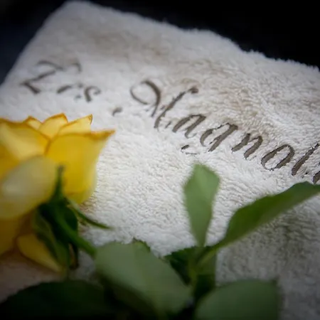 Les Magnolias Holiday Homes Lalinde Esterno foto