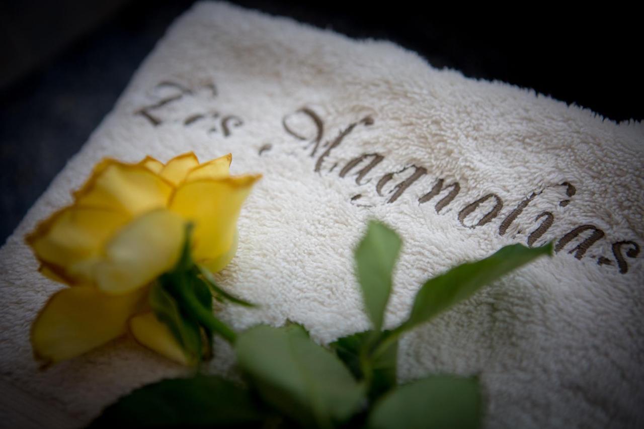 Holiday home Les Magnolias Homes *